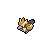 Pidgey