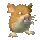 Raticate