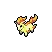 Ponyta