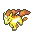 Rapidash