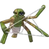 Spidops