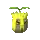 Sunkern