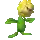 Sunflora