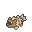 Zigzagoon