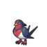 Swellow