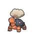 Torkoal