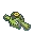 Cacnea