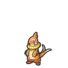 Buizel