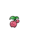 Cherubi