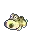Hippopotas