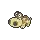 Hippopotas