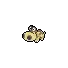 Hippopotas
