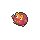 Darumaka