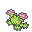 Maractus