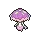 Shiinotic
