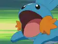 The Mudkip error
