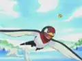 Taillow's miscolored eyes