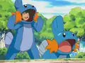 The Mudkip error
