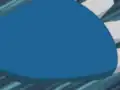 Kyogre's missing pattern
