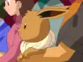 Eevee's body error