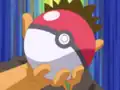 Forretress's Poké Ball