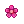 Pink Flower