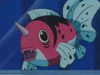 Andreas's Seaking