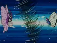 Assunta's Venomoth