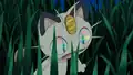 Meowth eyes' reflection error