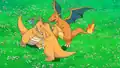 Charizard's wings error