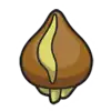 Absorb Bulb