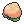 Pecha Berry