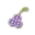 Warding Charm Y