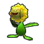 Sunflora