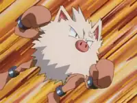 Butch's Primeape