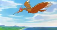 Fearow in Mewtwo Strikes Back