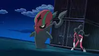 Charles's Accelgor