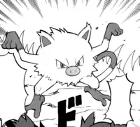 Chase's Mankey