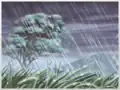 Rainstorm