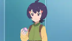 Dash