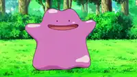 Ditto 1