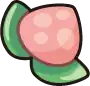 Pecha Berry
