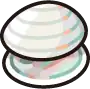 Shoal Shell