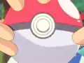 The Poké Ball error
