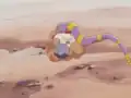 Ekans's miscolored bands