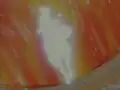 The Evolution error