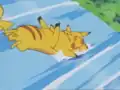 The leader Pikachu's tail