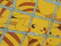 A Pikachu's missing cheek pouch