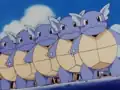Wartortle's missing bandanna