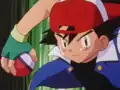 Tauros's Poké Ball
